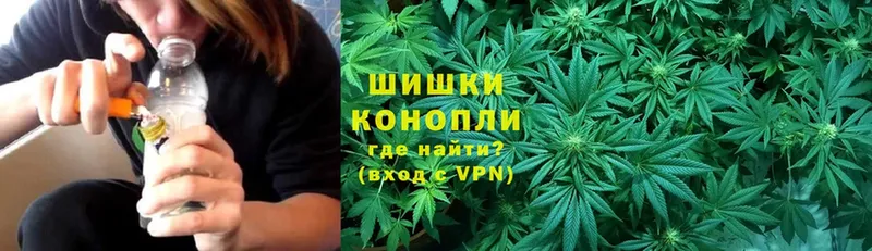 Бошки марихуана LSD WEED  MEGA зеркало  Петровск-Забайкальский 